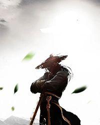 红楼:我,贾环,抄书百倍奖励!