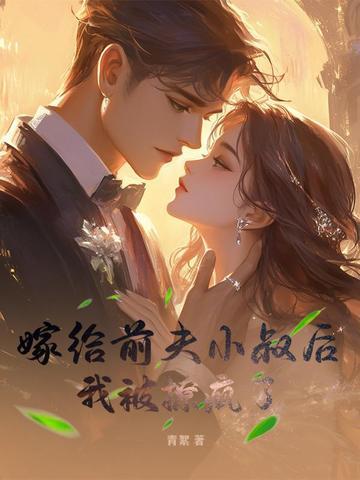 嫁给前夫小叔后,我被撩疯了